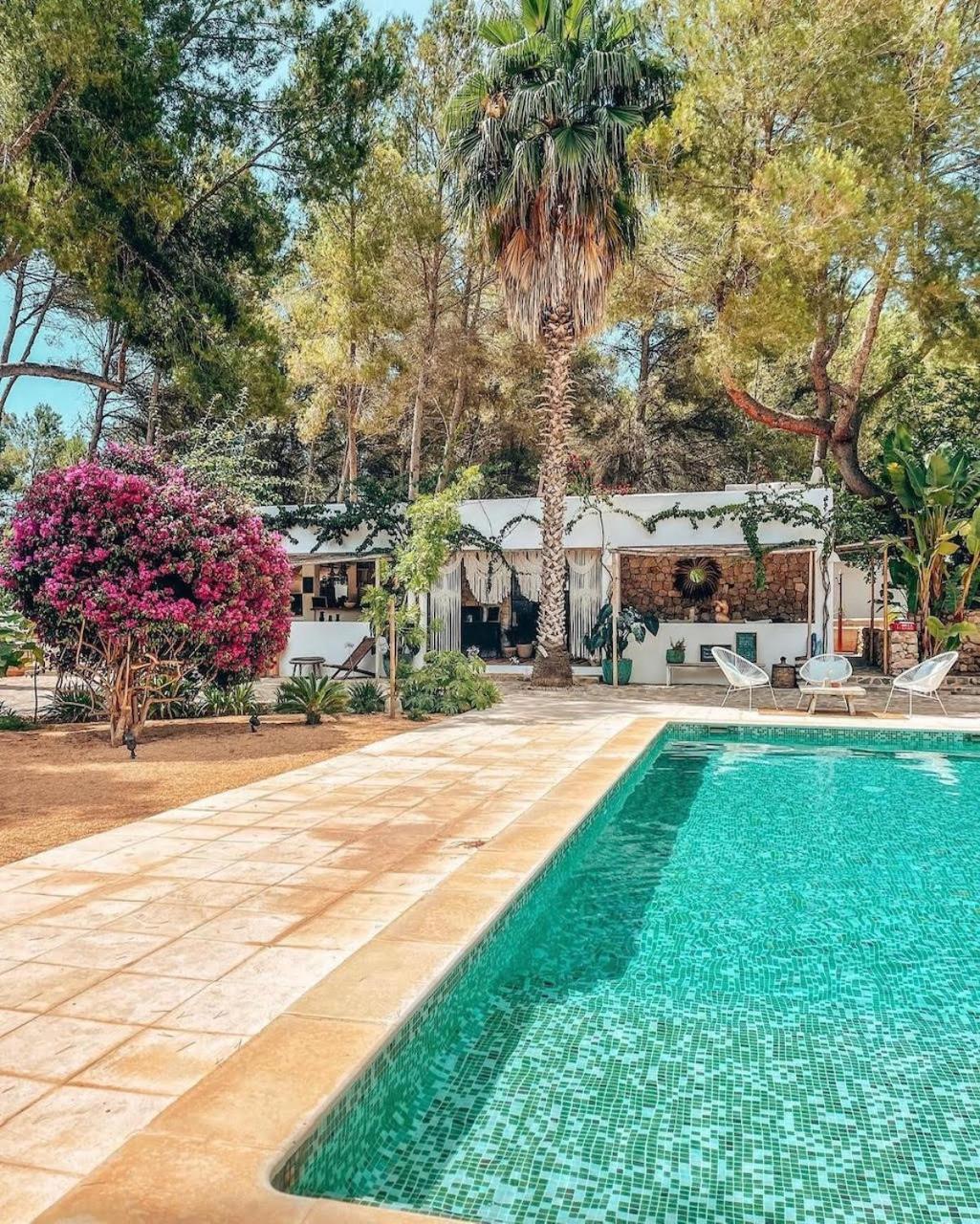 הוילה קאלה יונגה Ipunga Ibiza - Adults Only מראה חיצוני תמונה